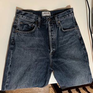 Size 24 Agolde Pinch Waist in Portrait